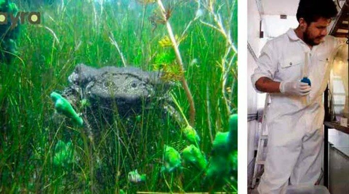 Museum Natural History Museum Alcide d'Orbigny, Cochabamba, photo