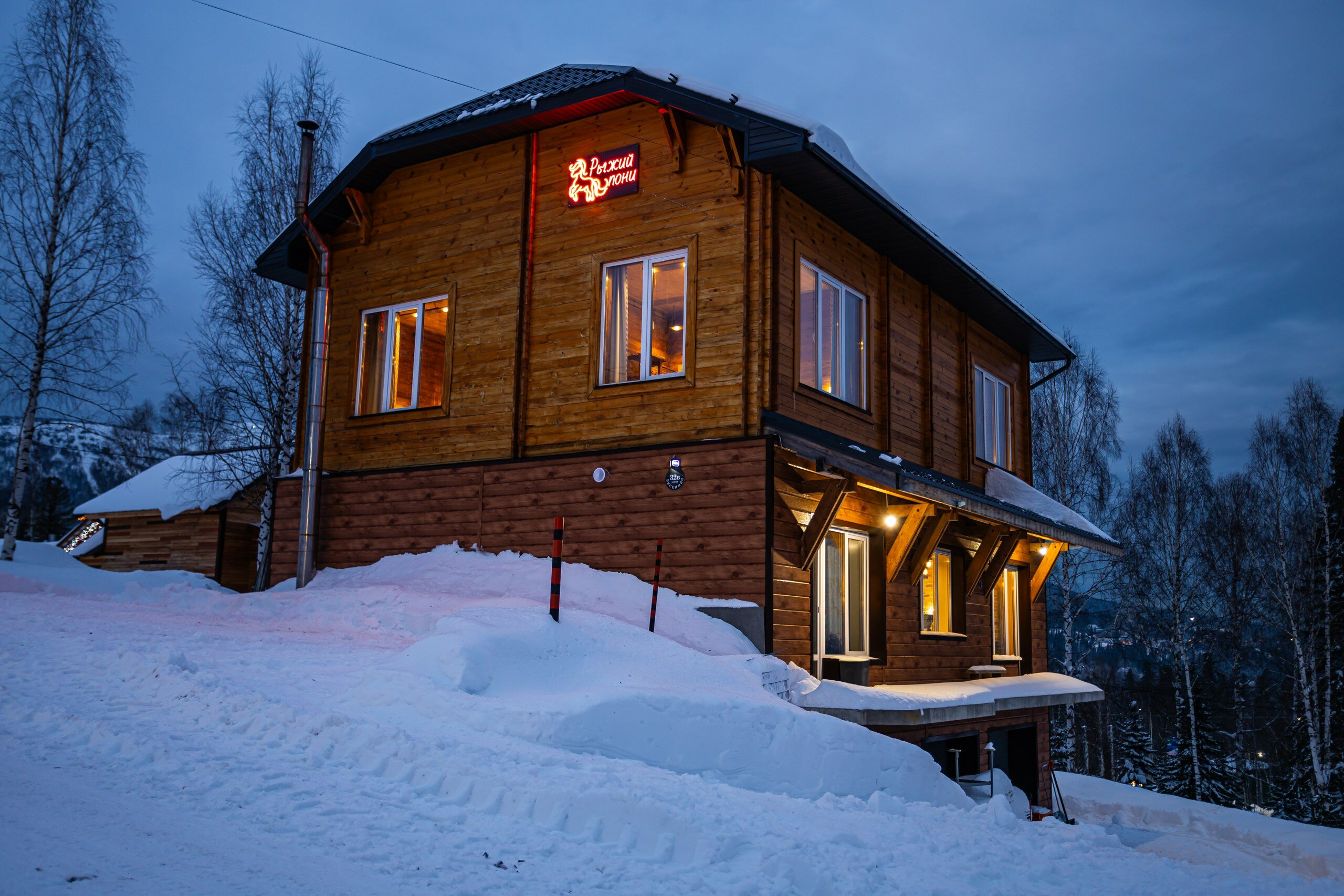 Фото Рыжий пони