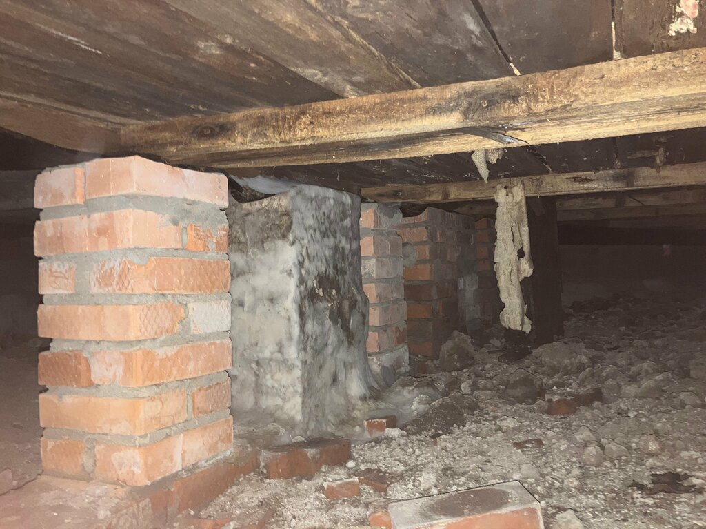 Compañía de construcción Repair of private houses Team of Professional Builders, , foto