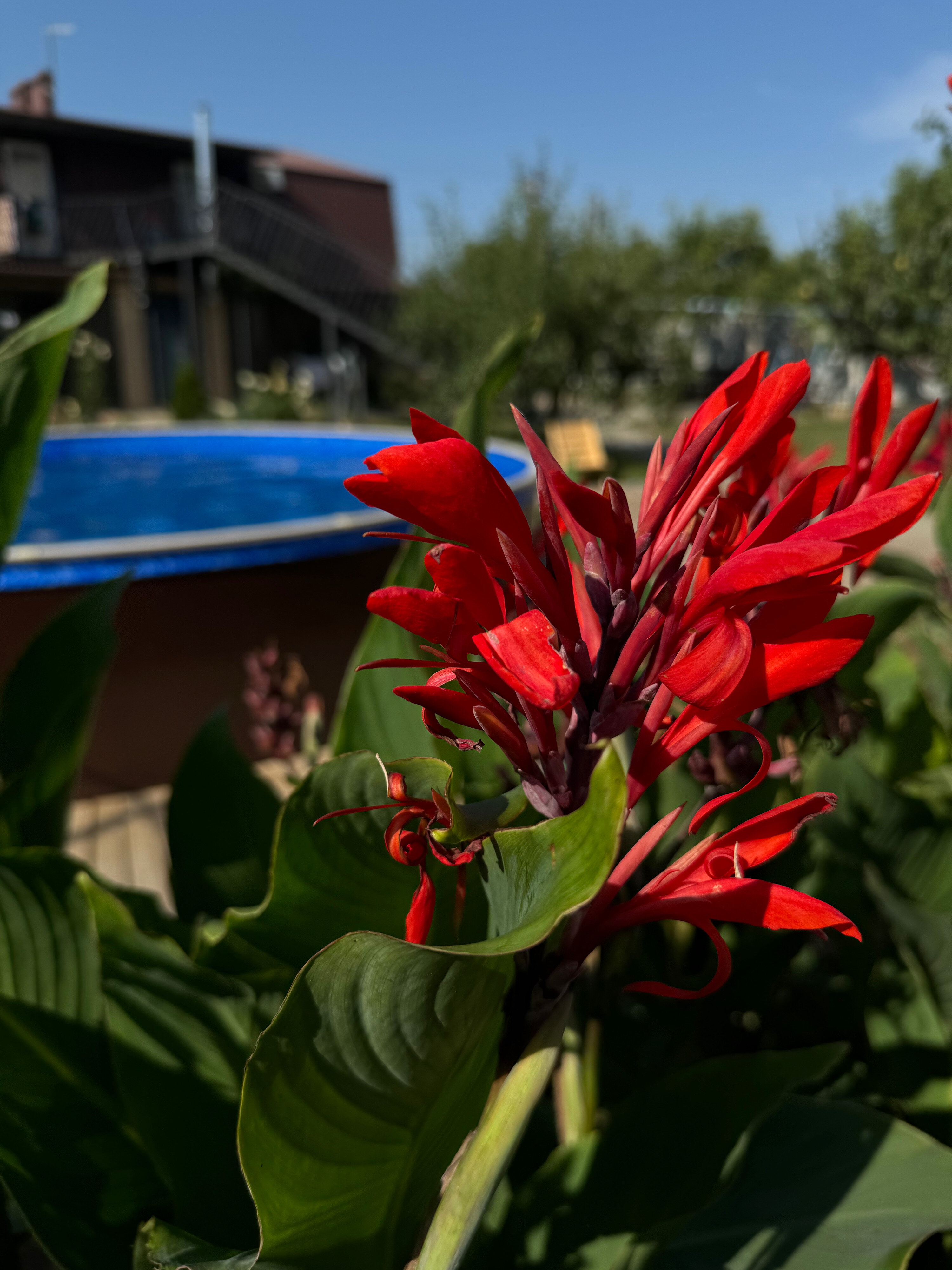 Фото Привет, родной!