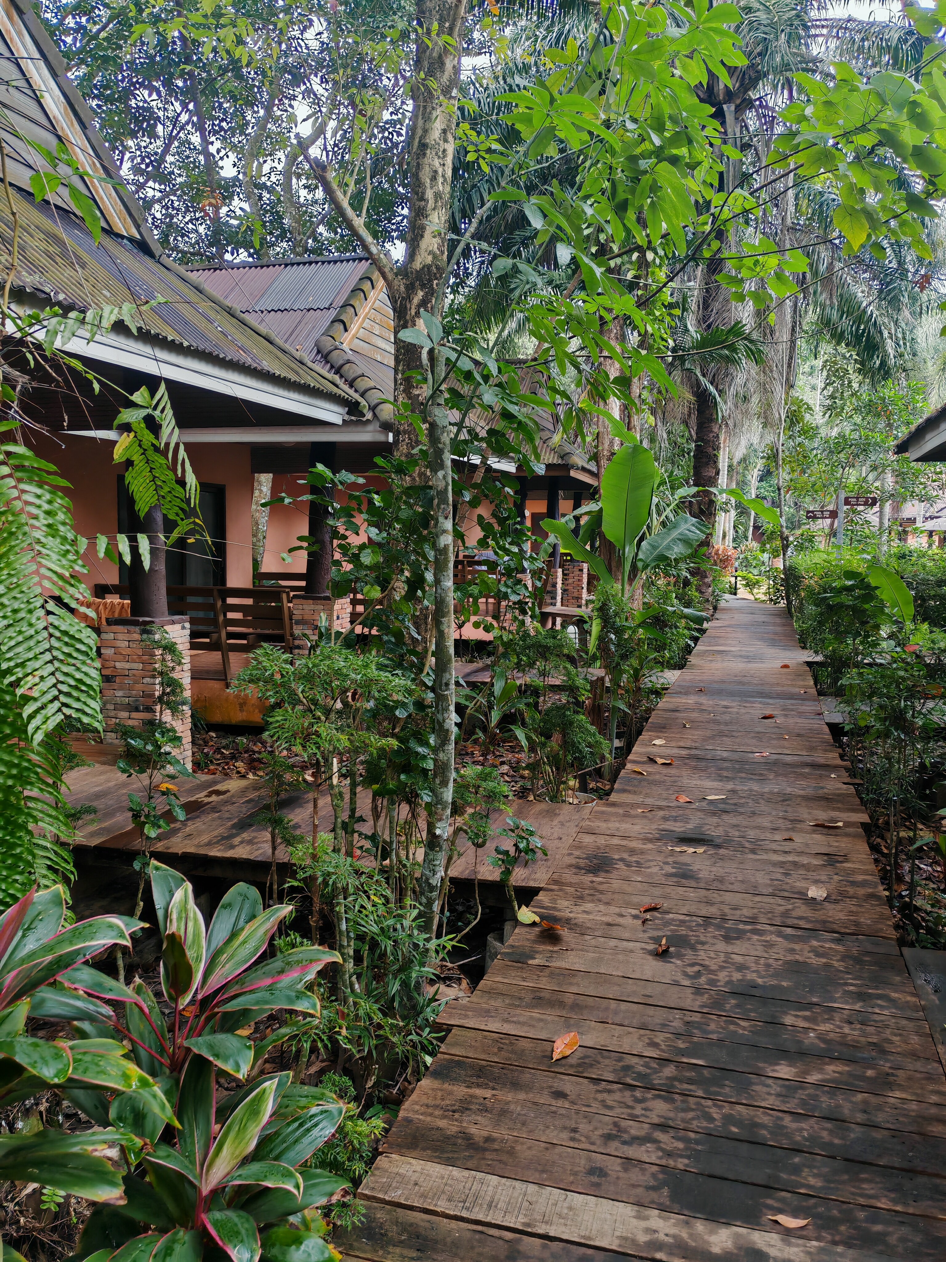 Фото Sunda Resort