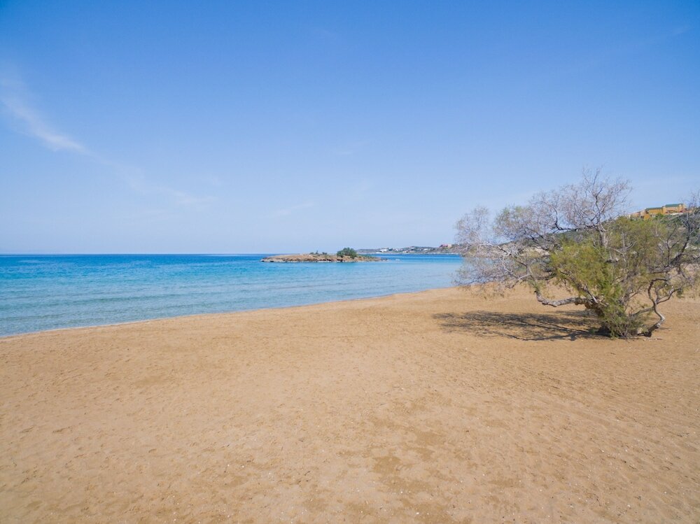 Фото Villa Alexander