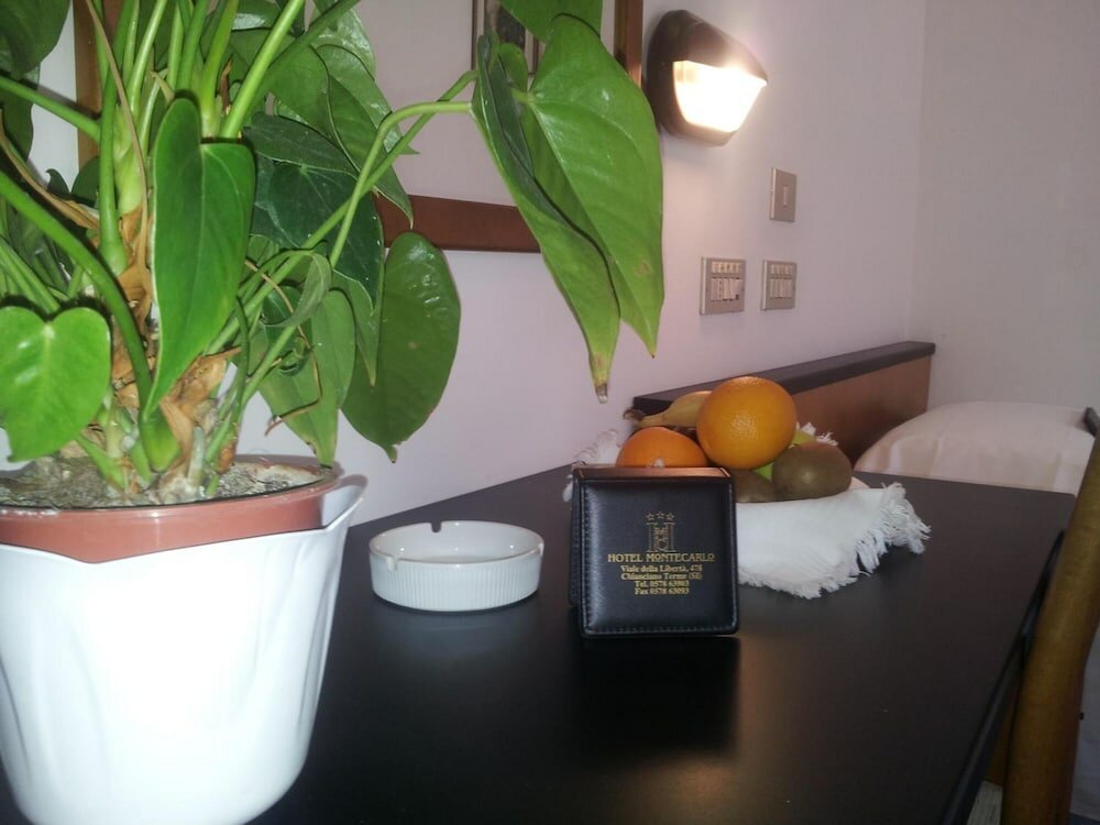 Фото Hotel Montecarlo