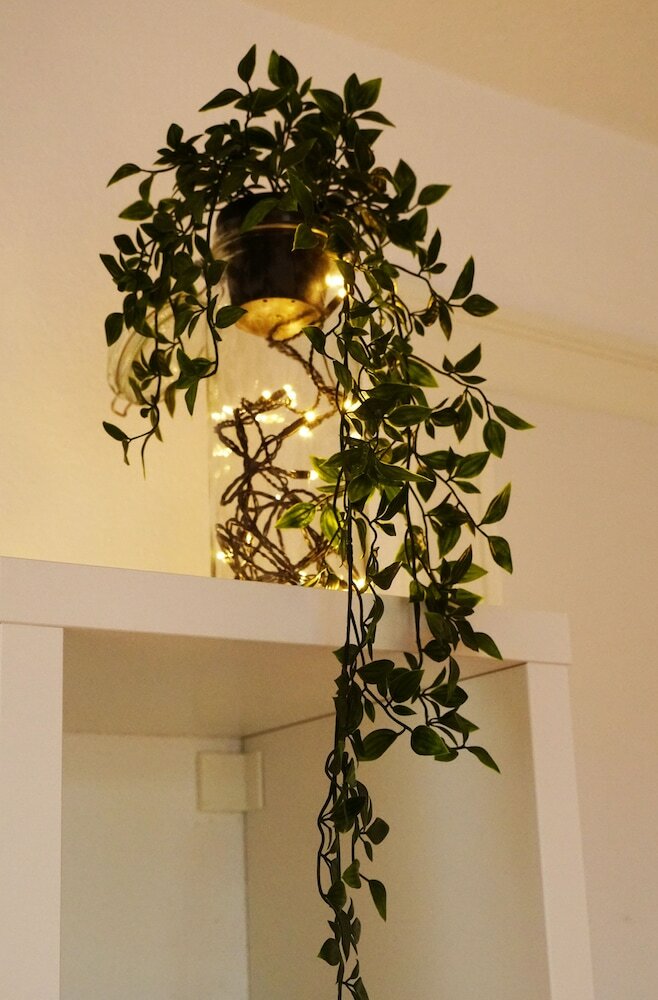 Фото Adventure Guesthouse Interlaken