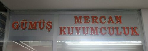 Mercan Gumus Fotoğraf 3