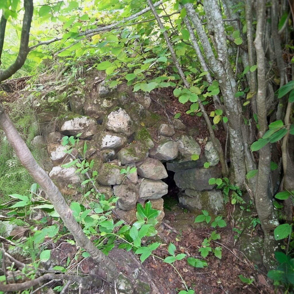 Management company Kure Mountains National Park Directorate, Bartin, photo