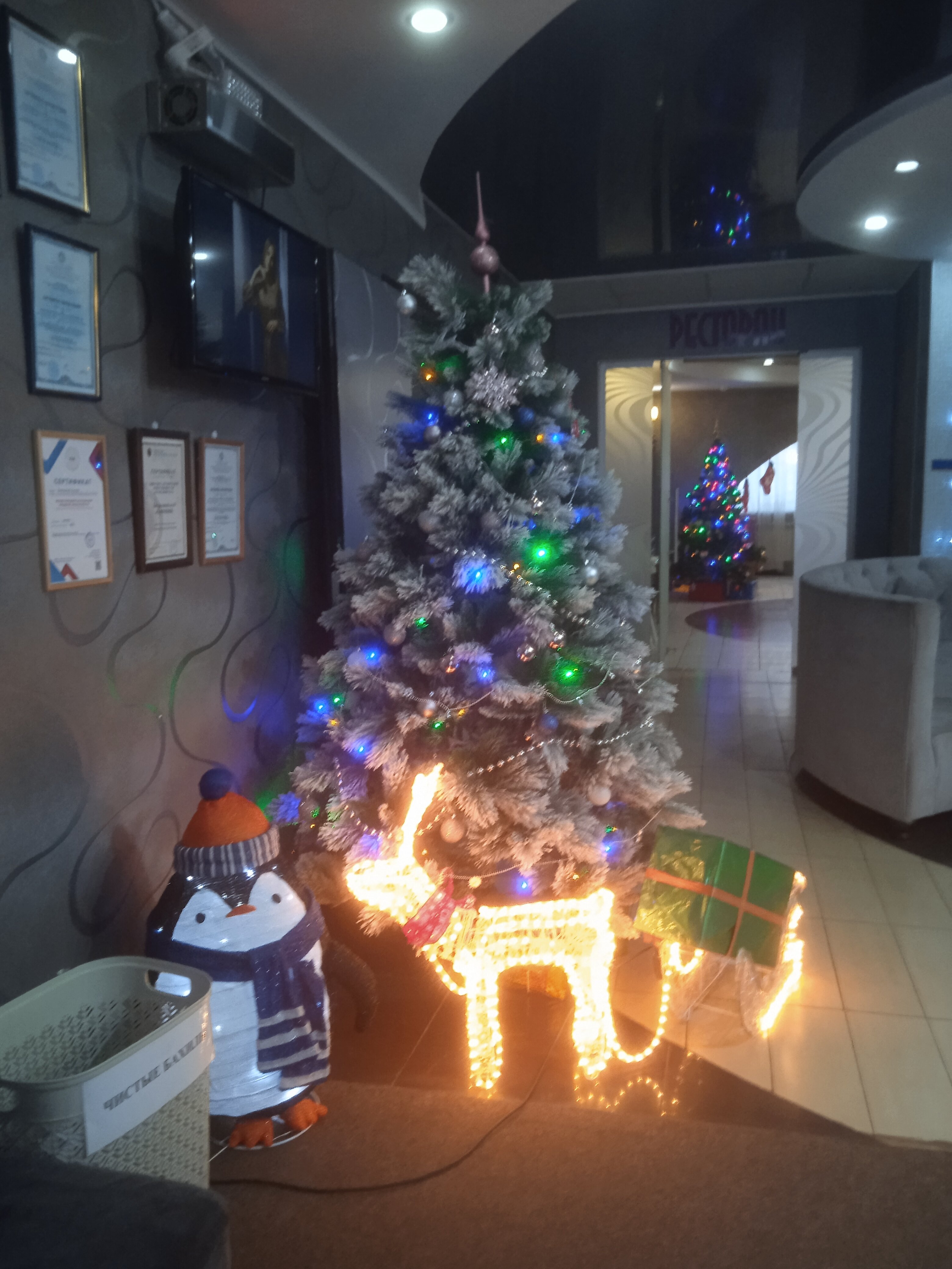 Фото Олимпия