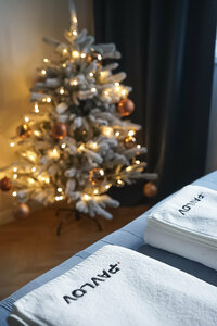 Апартаменты Апартаменты Pavlov