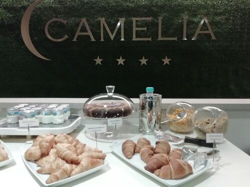 Гостиница Hotel Camelia в Новаре