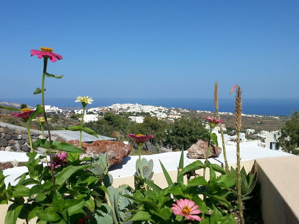 Фото Alonistra Oia Houses