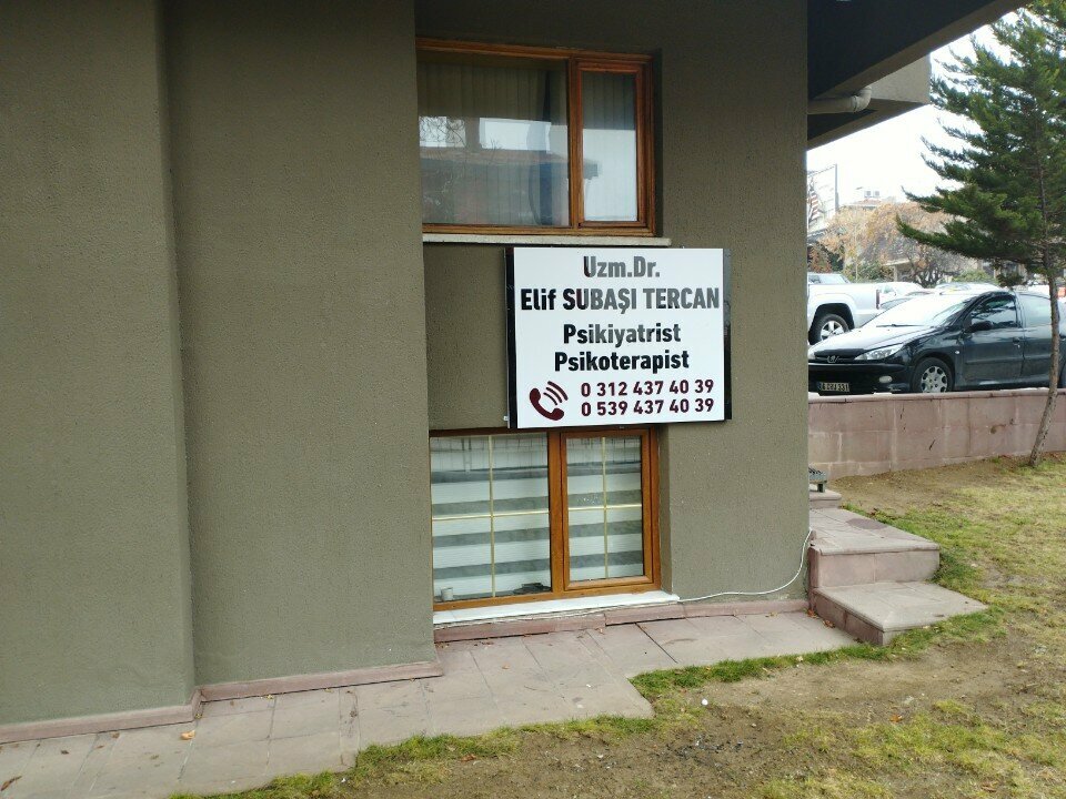 Psychiatrist Dr. Elif Subasi Tercan, Ankara, photo