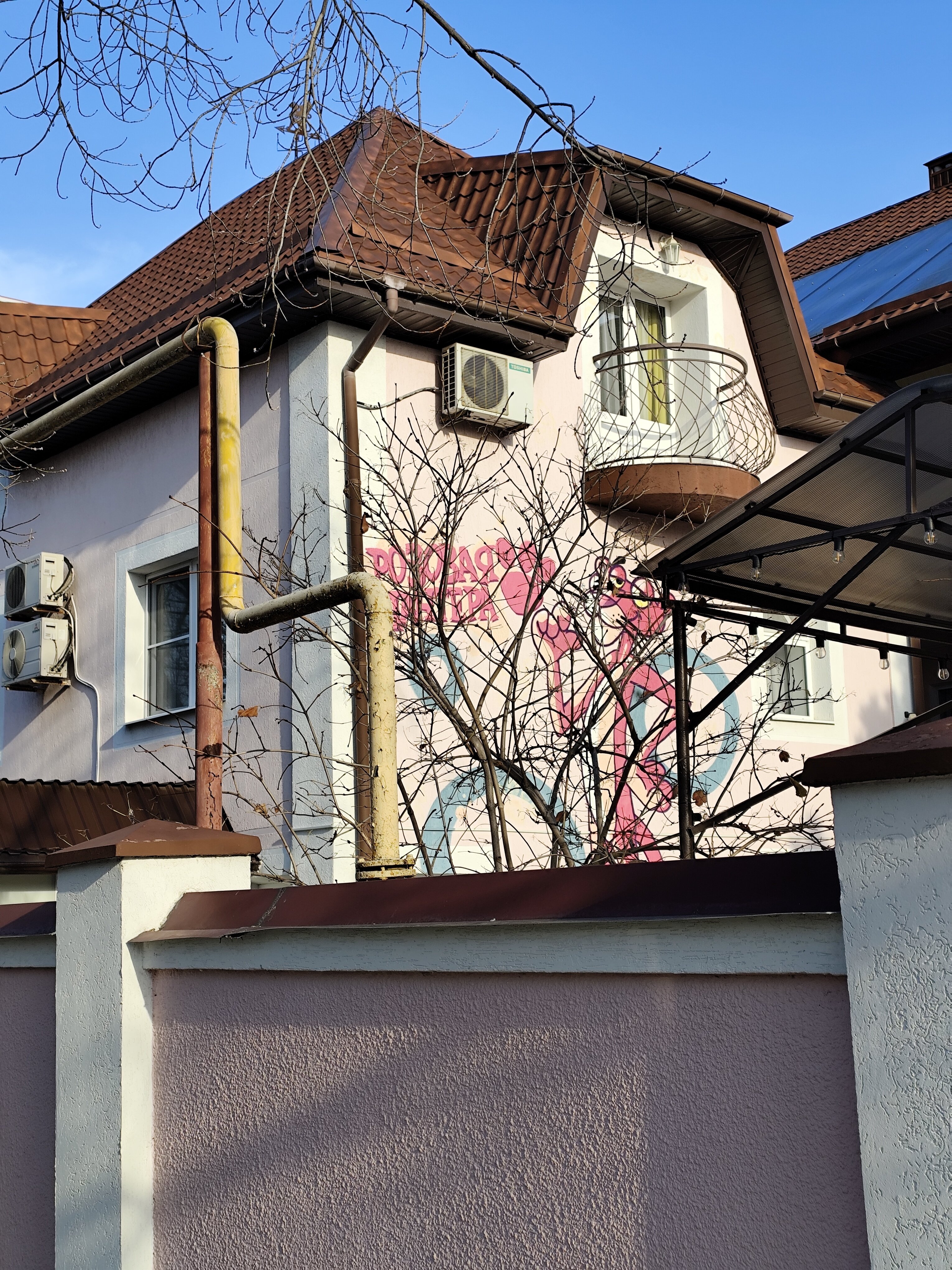 Фото Розовая Пантера