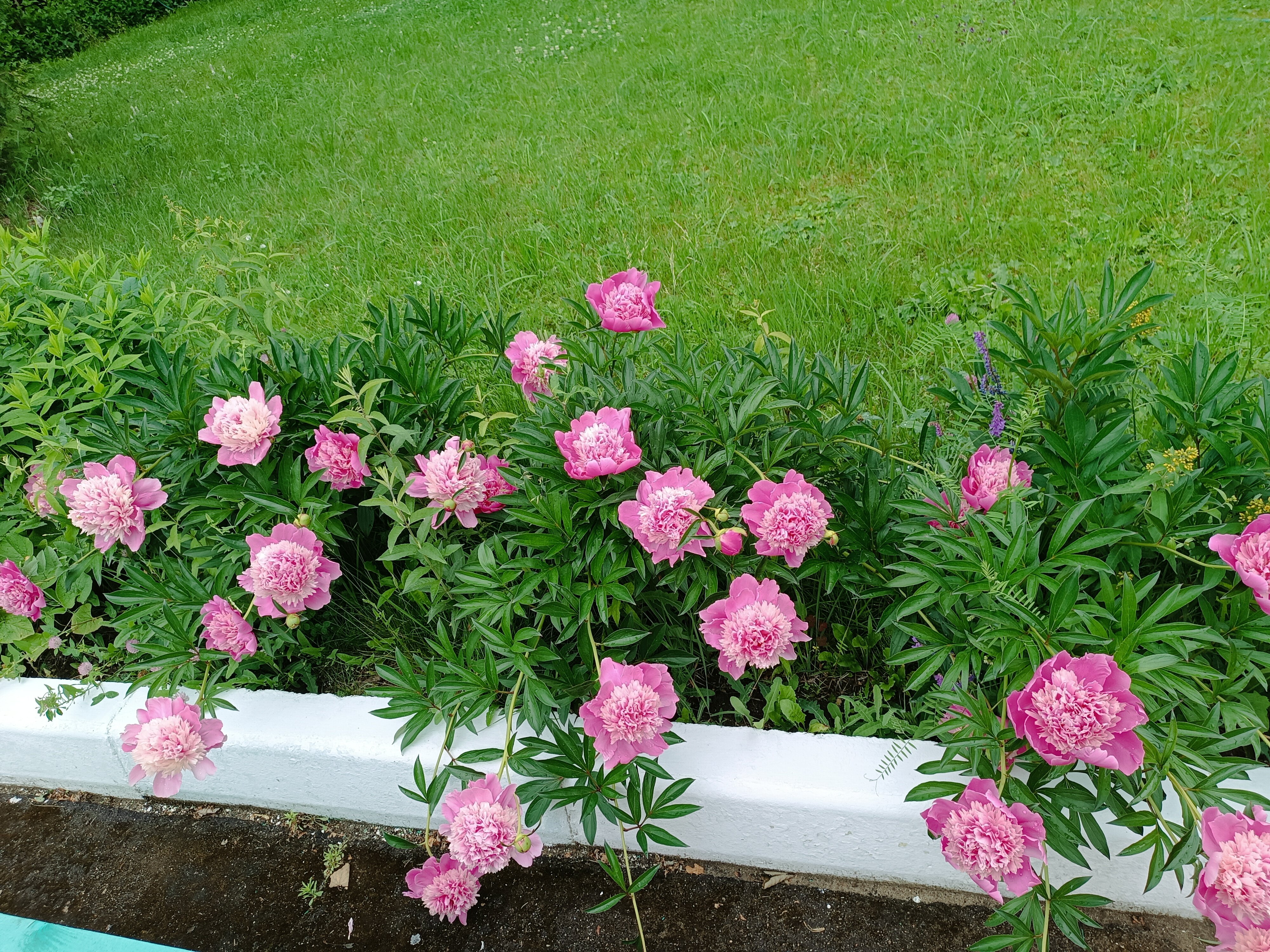 Фото Доброе