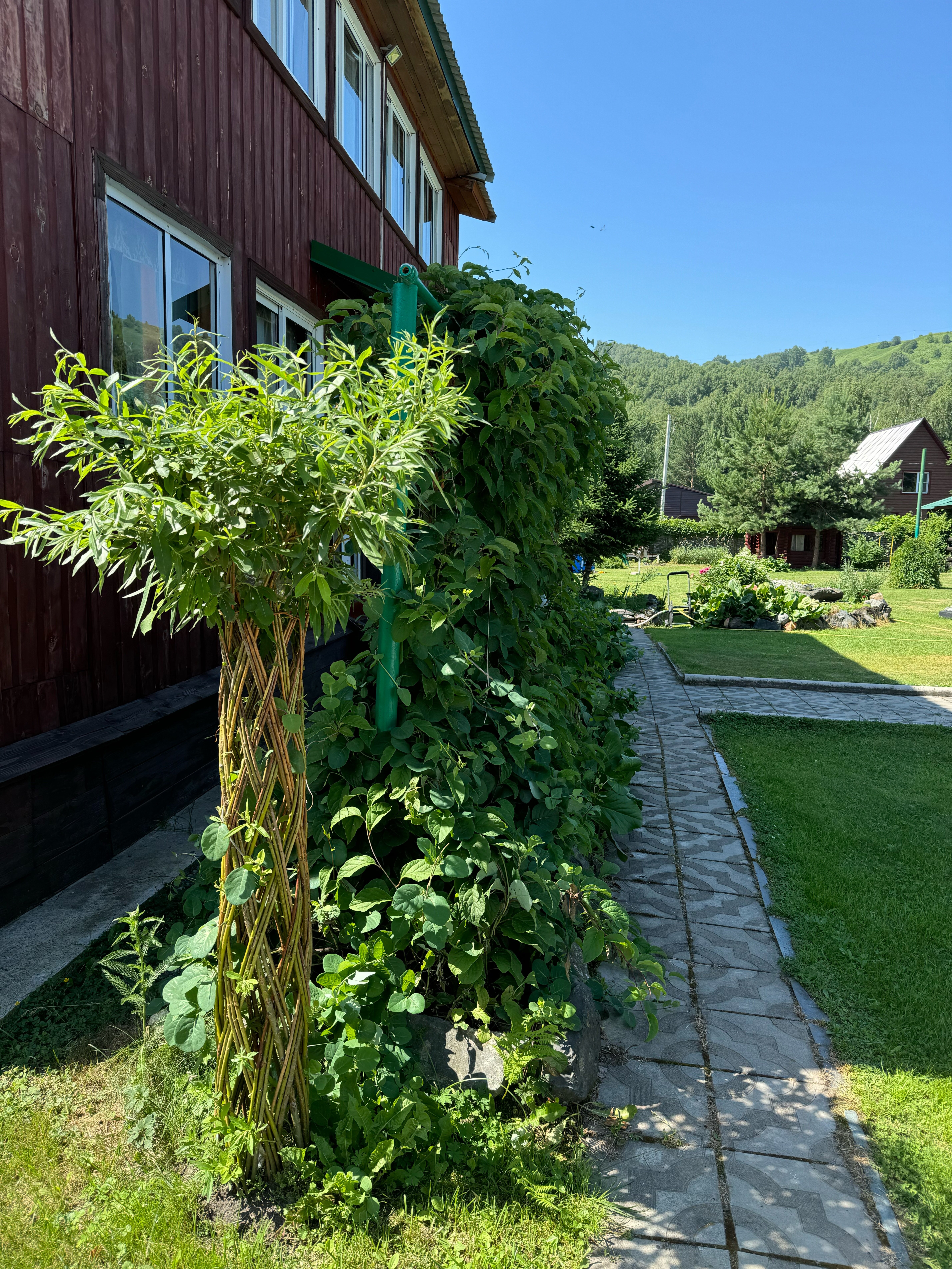 Фото Айский