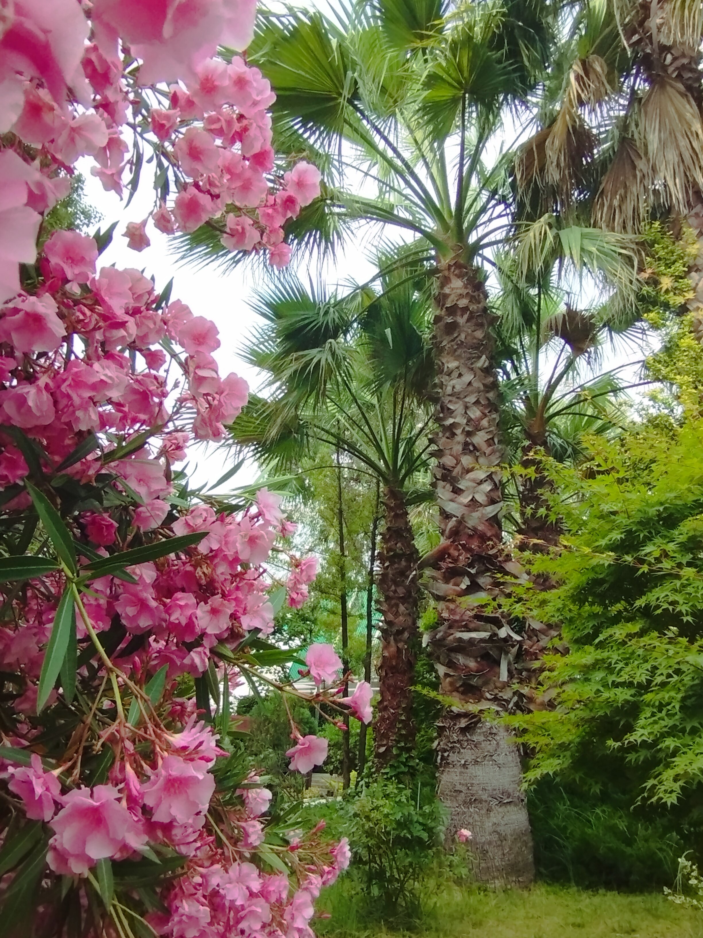 Фото Azimut Здоровье Ивушка