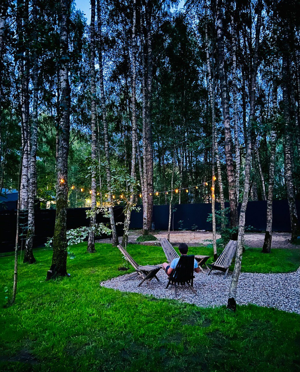 Фото У Березы