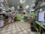 Electrica (ulitsa Gagarina, 31), electronic goods store