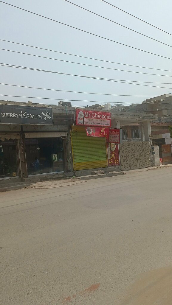 Egg and poultry meat Mr chickens, Lahore, photo