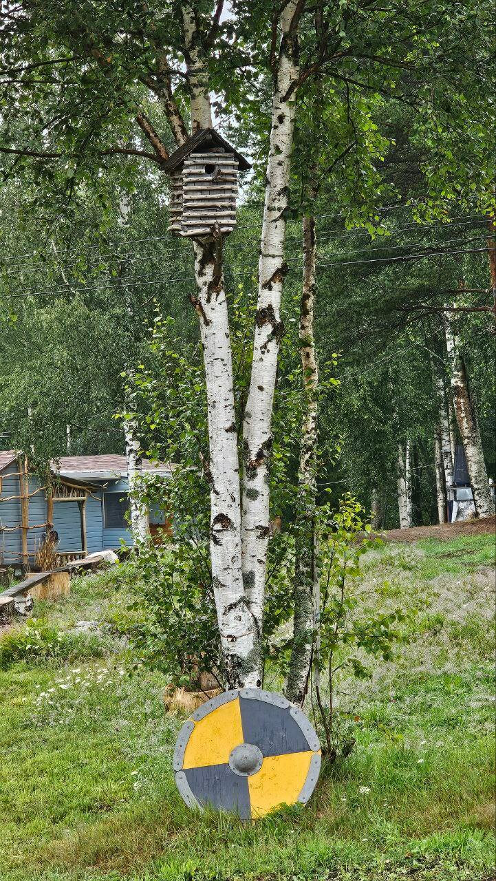 Фото Башни Андра