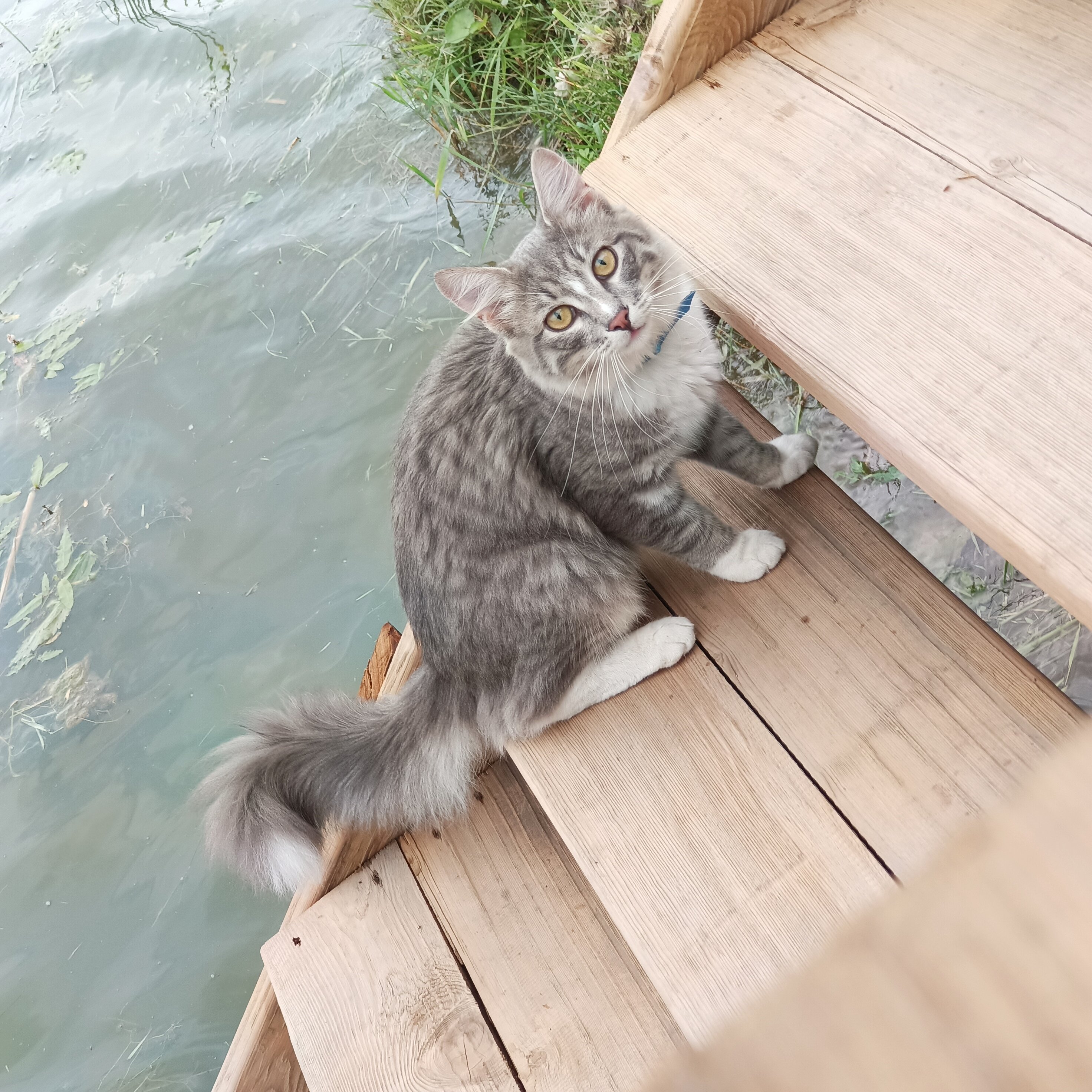 Фото Апартель