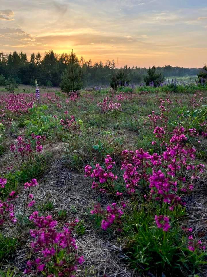Фото Кибитка на холме