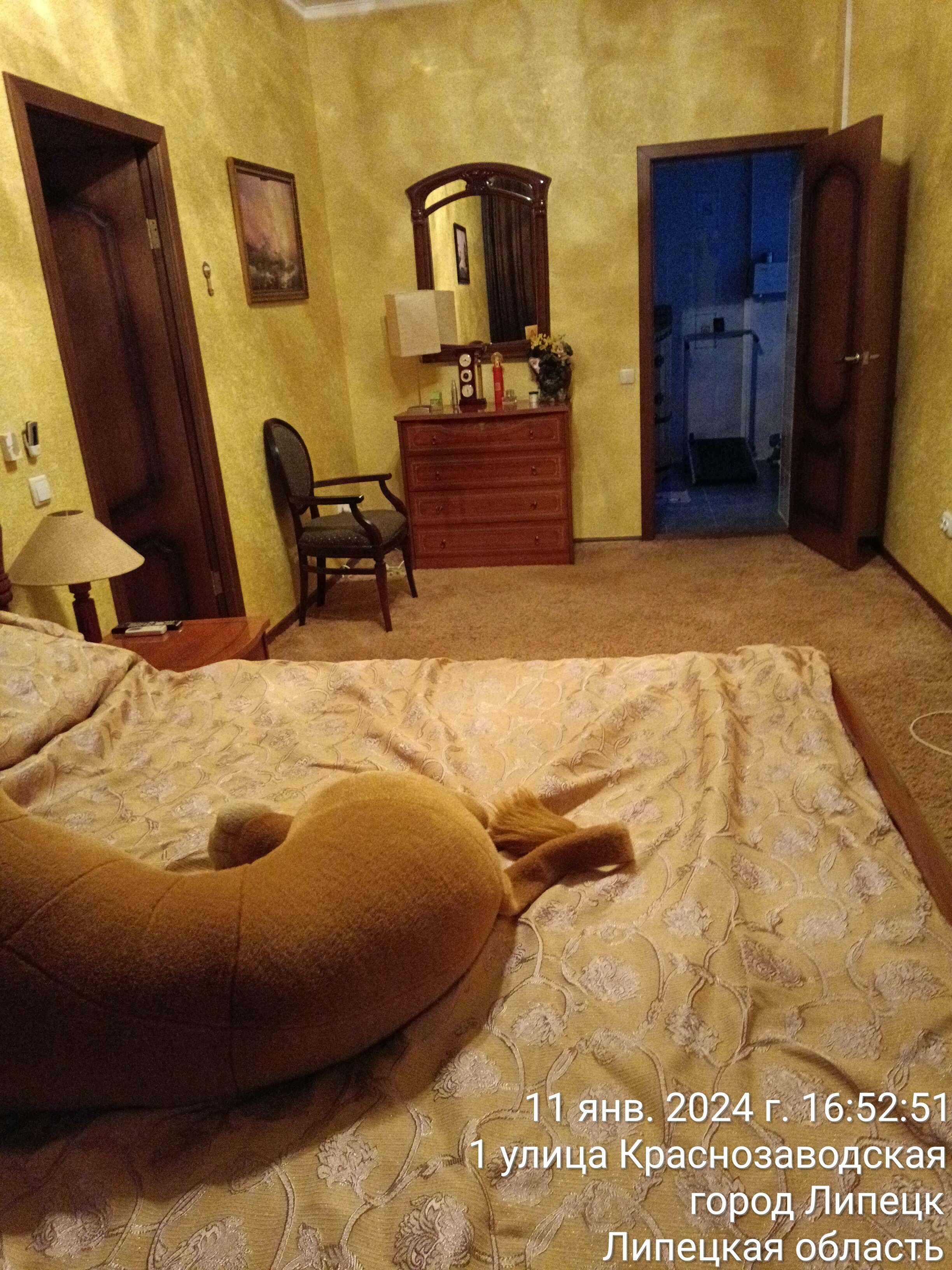 Фото Университетская