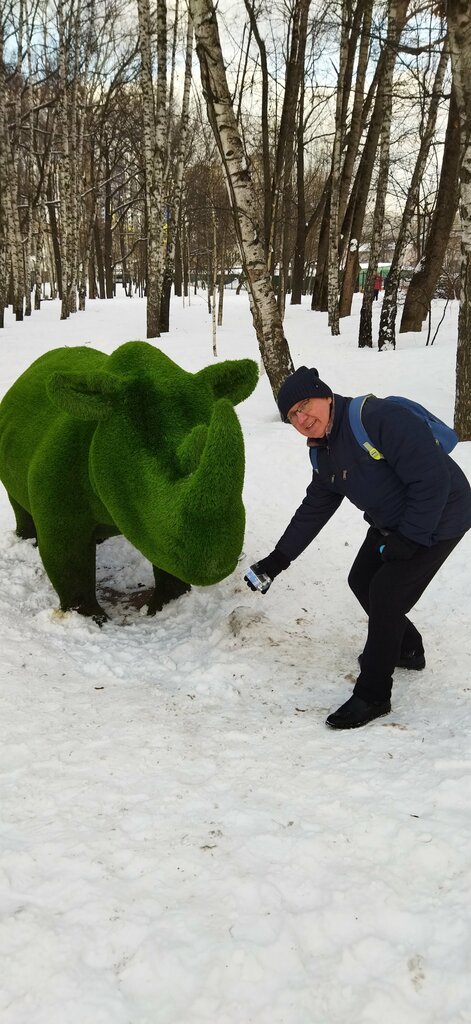 Genre sculpture Носорог, Moscow, photo