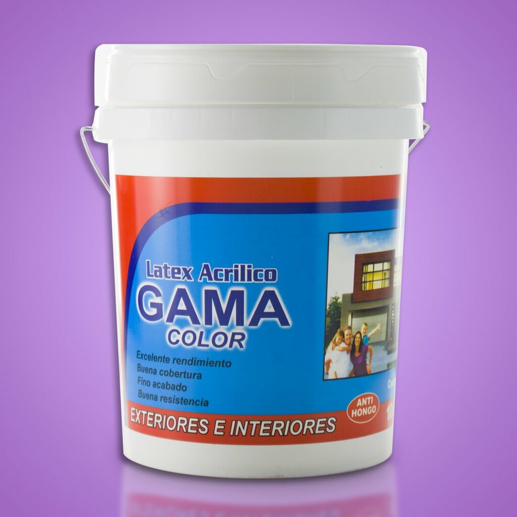 Construction and finishing works Gama Color - Pinturas, Santa Cruz de la Sierra, photo