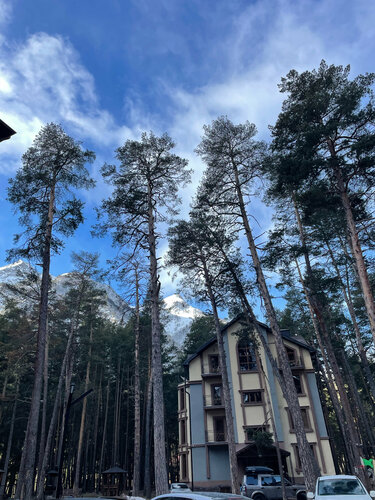Гостиница Апартаменты Pine Elbrus в Эльбрусе