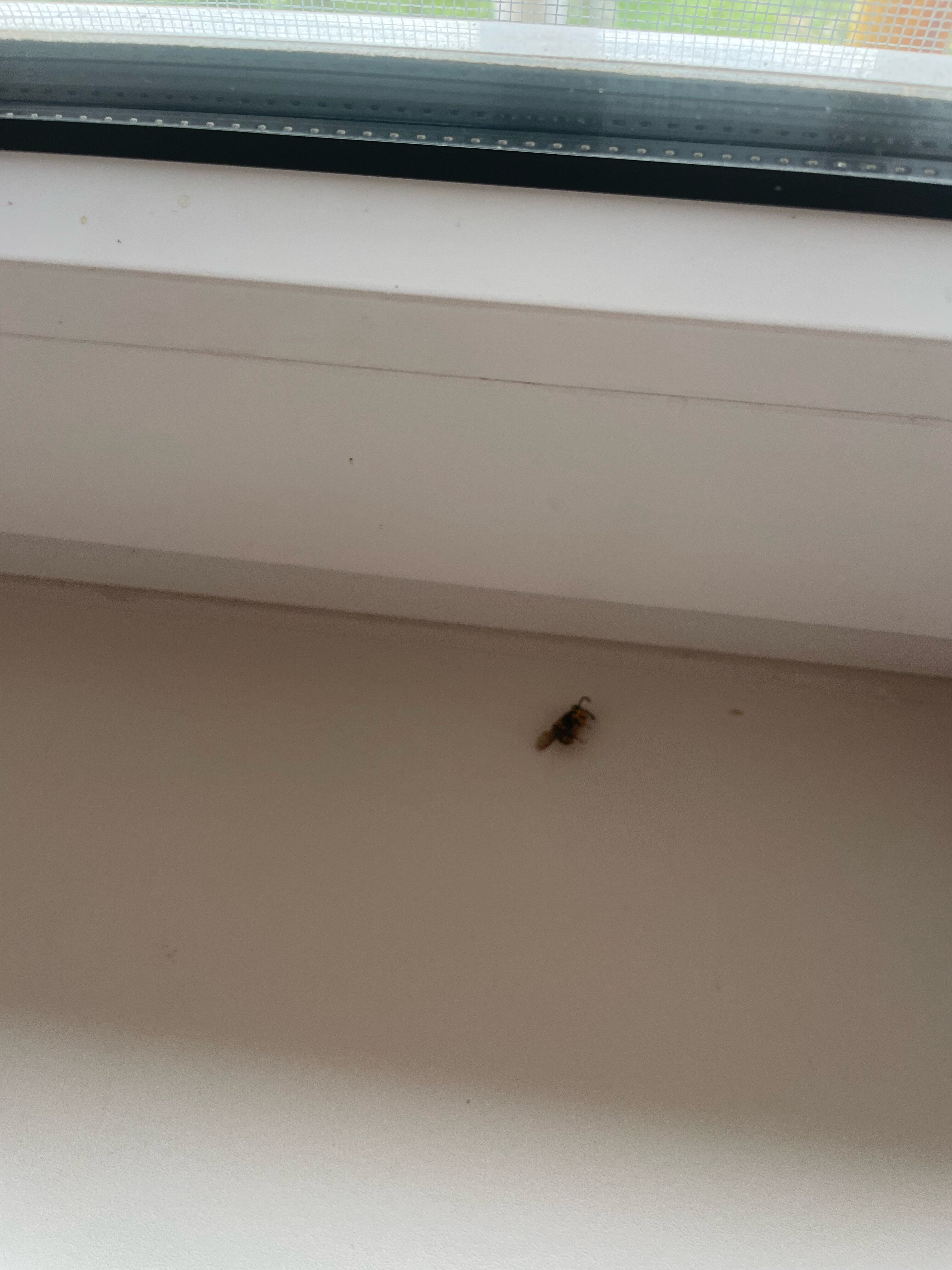 Фото Островок