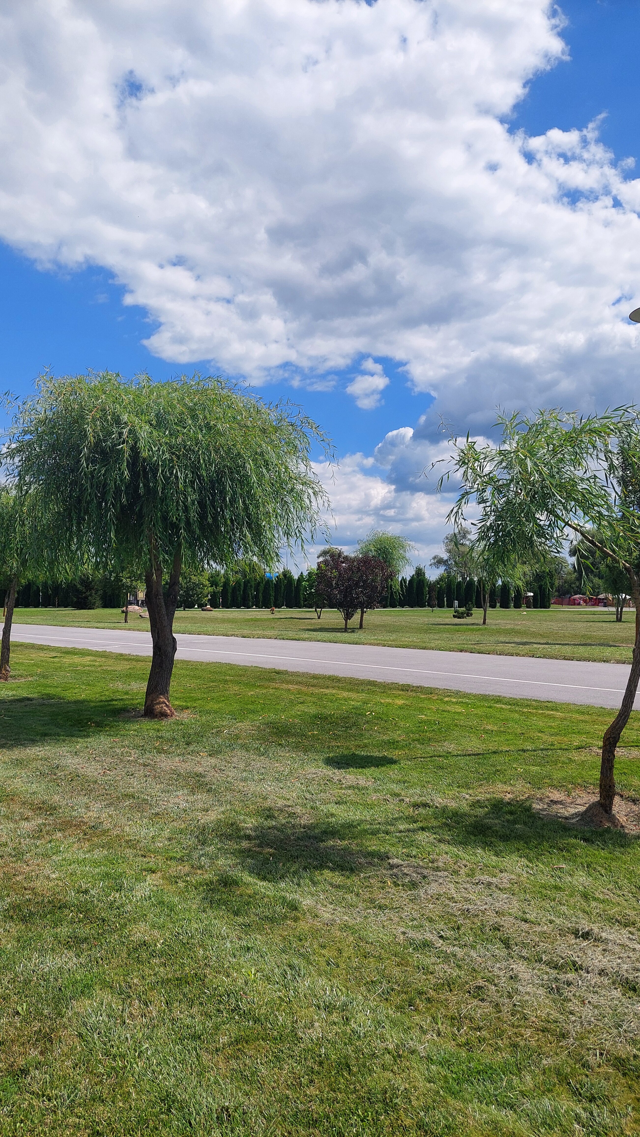 Фото Хиллпарк