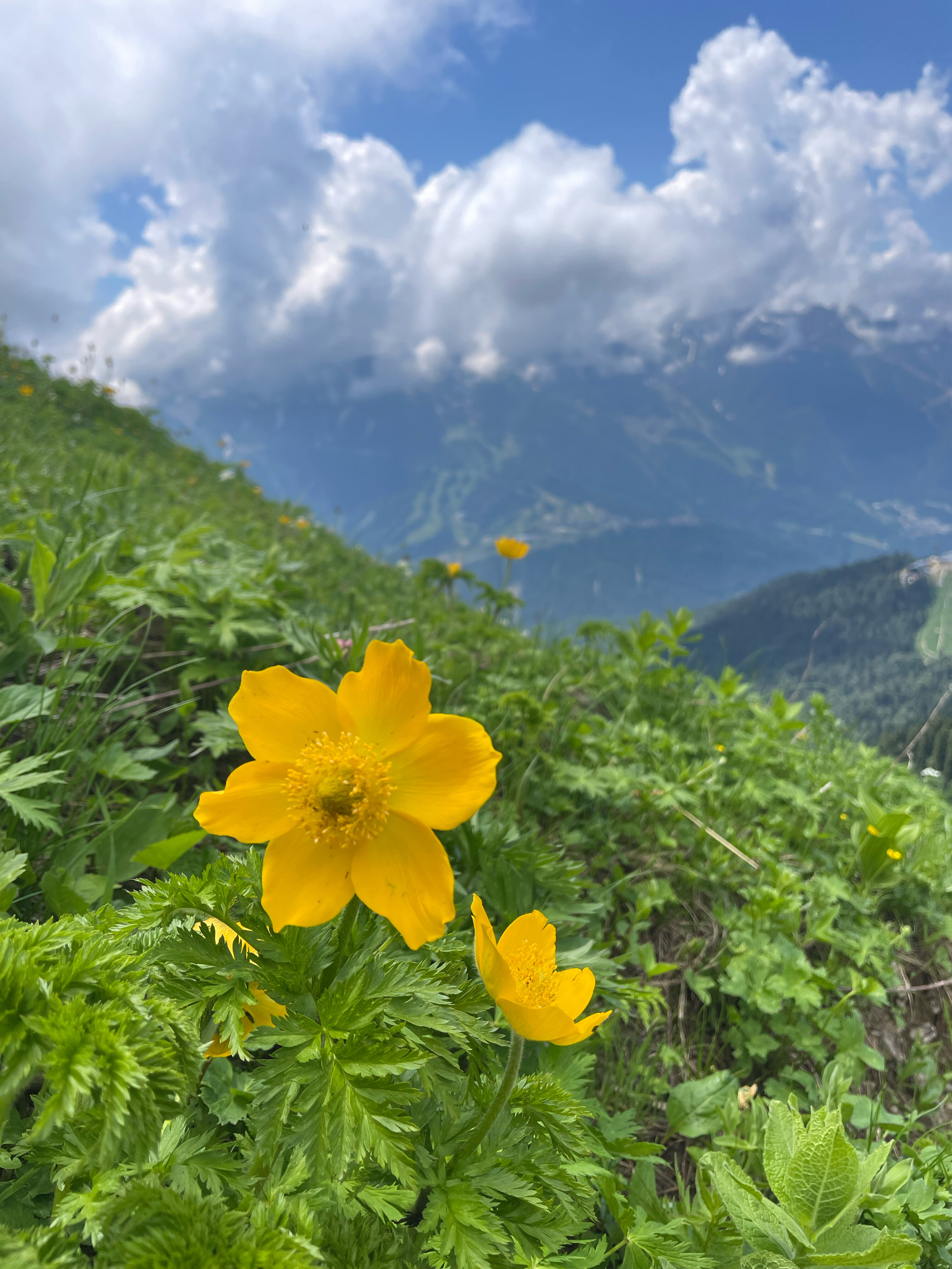 Фото Панорама парк