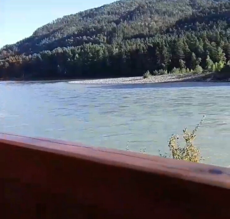 Фото Альбатрос