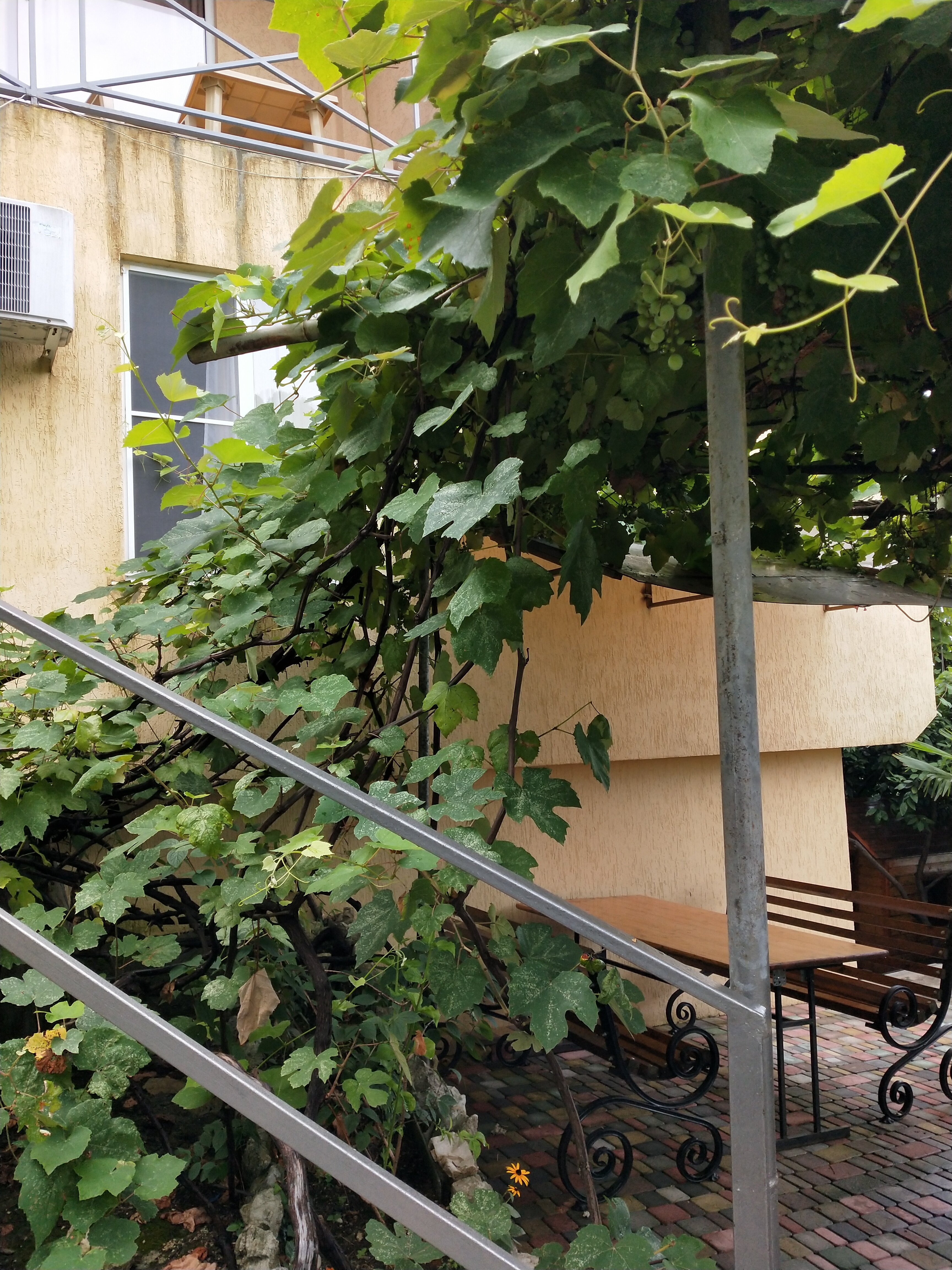 Фото Nacharianoff