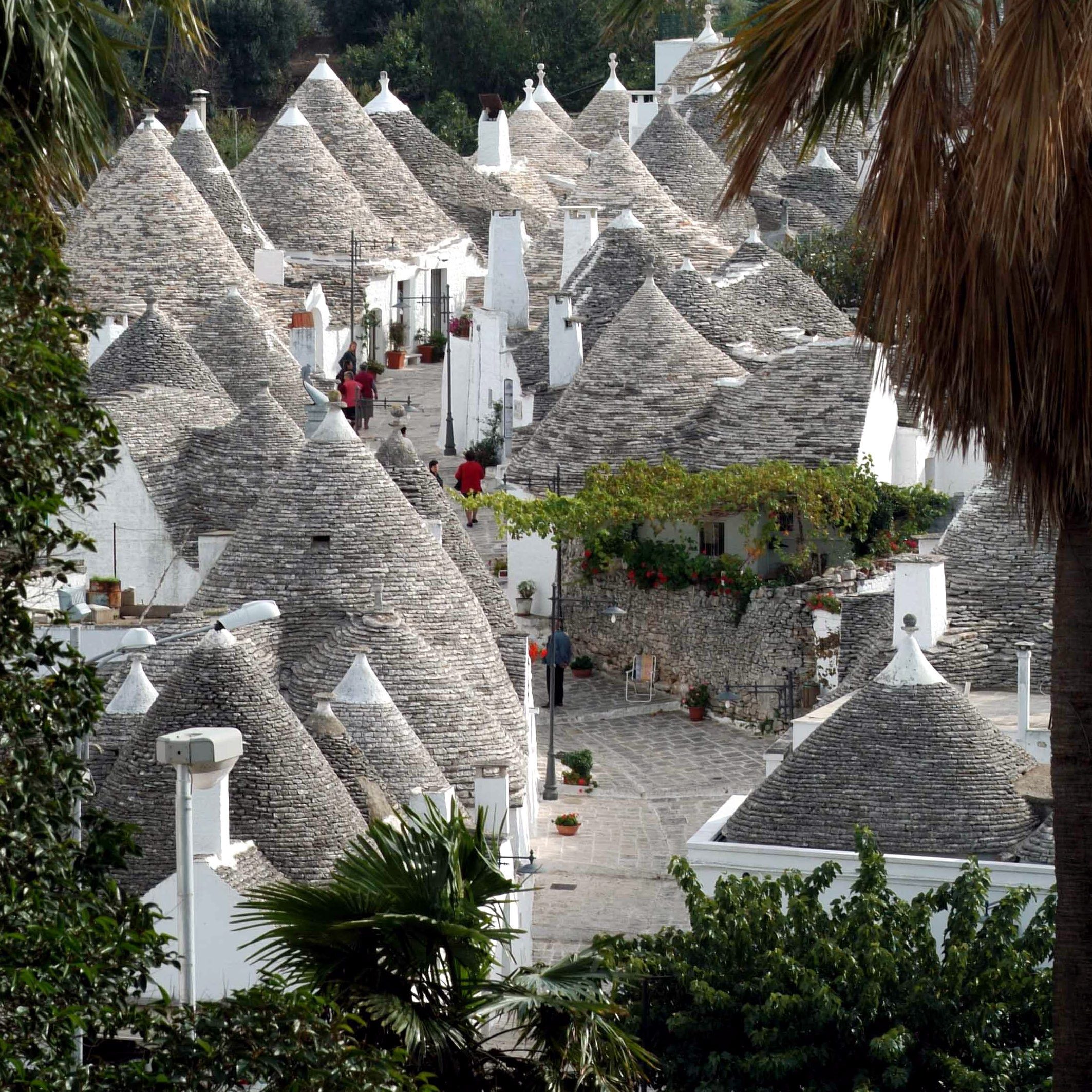 Фото Trulli e Puglia