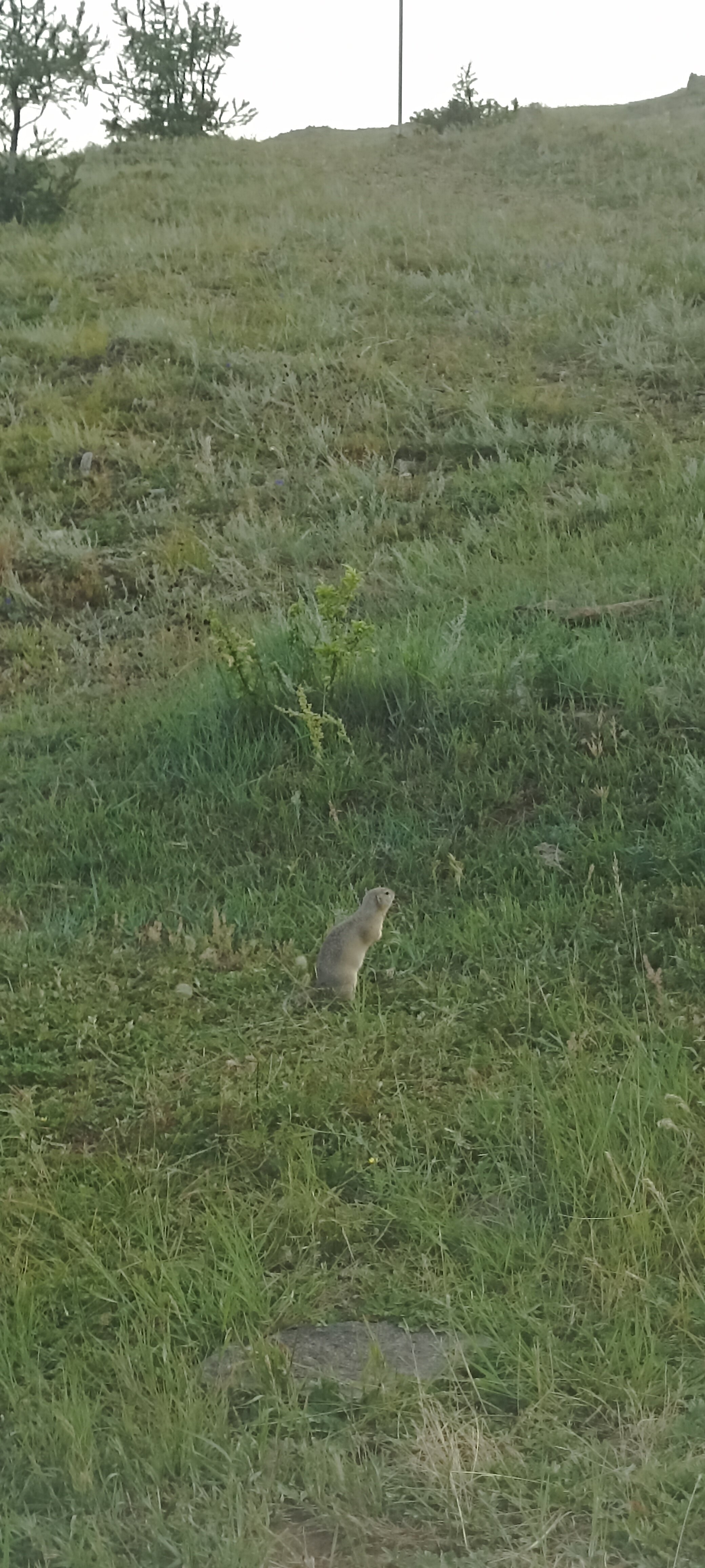 Фото ЭкоАура