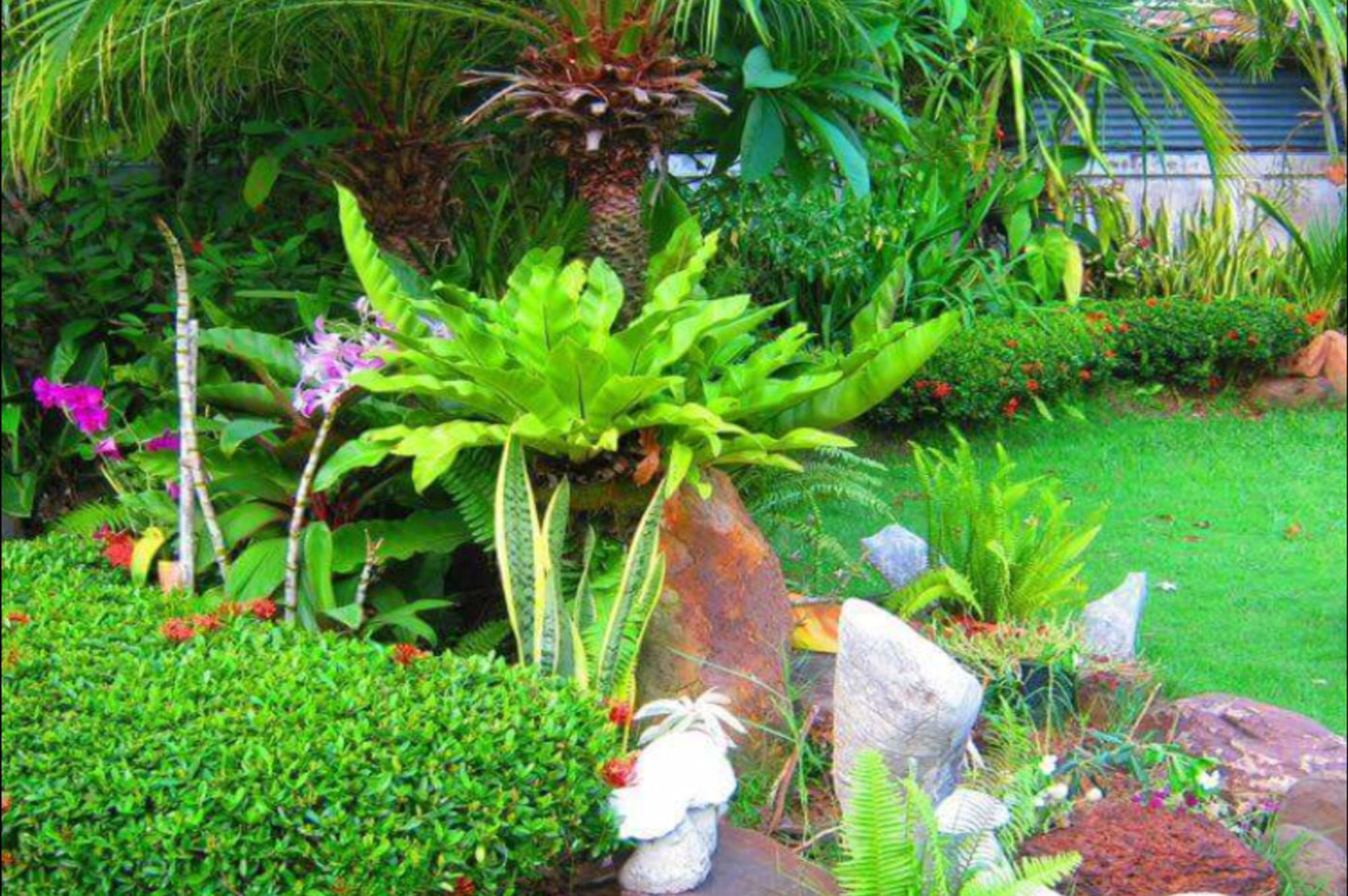 Фото White Elephant Resort