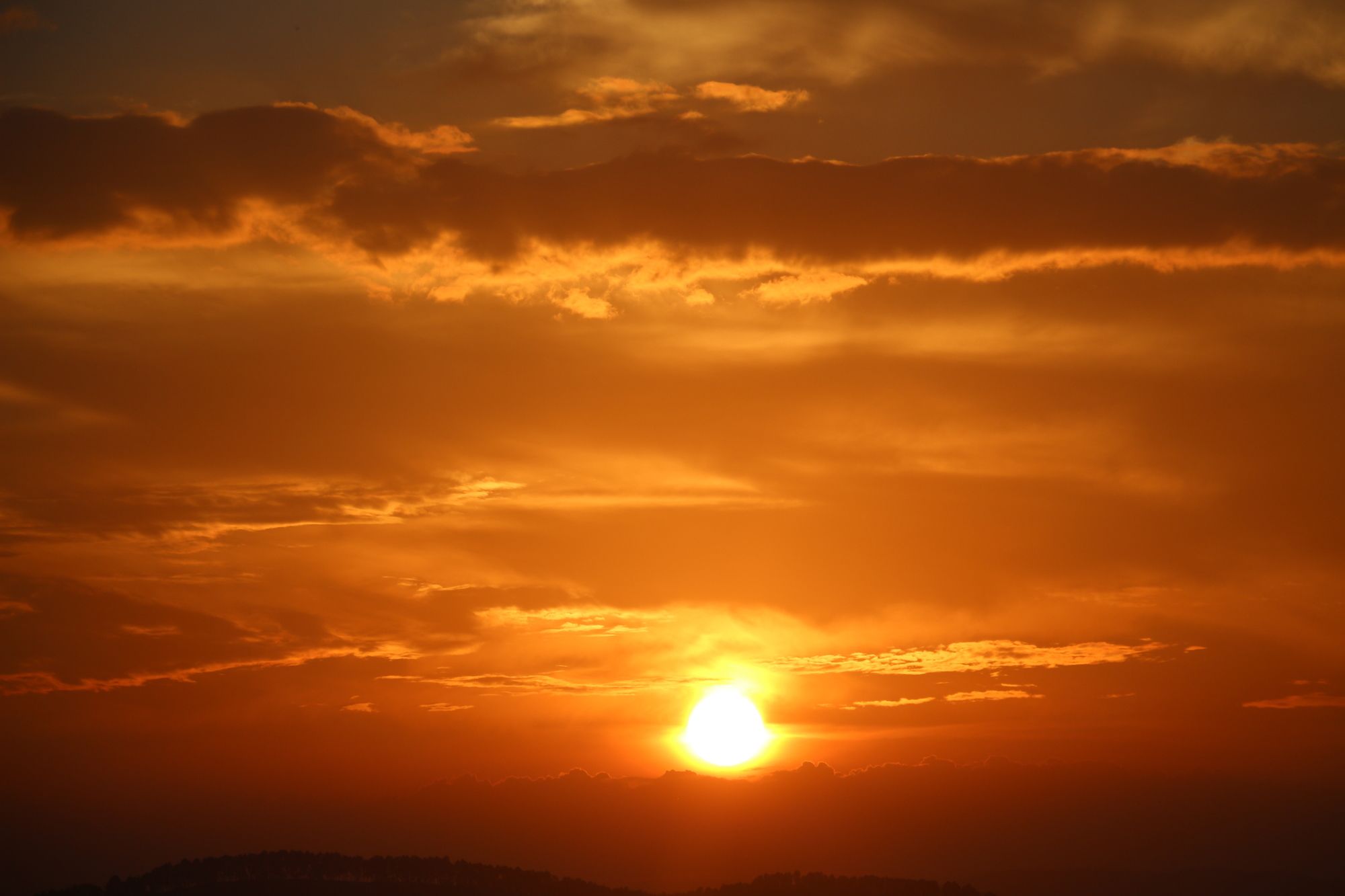 Фото The Richmond House Grand