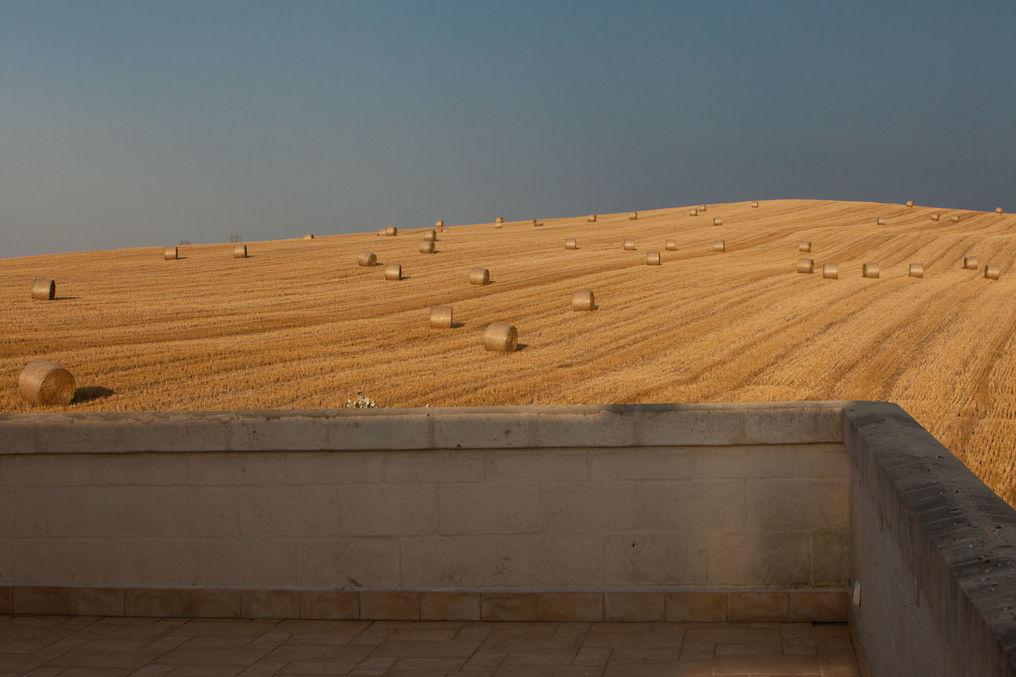 Фото Tenuta Danesi