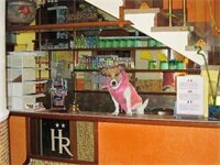 Фото Hotel Maria