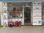 Özgem Petshop (İstanbul, Tuzla, Aydınlı Mah., Esra Sok., 8A) ، أحواض السمك