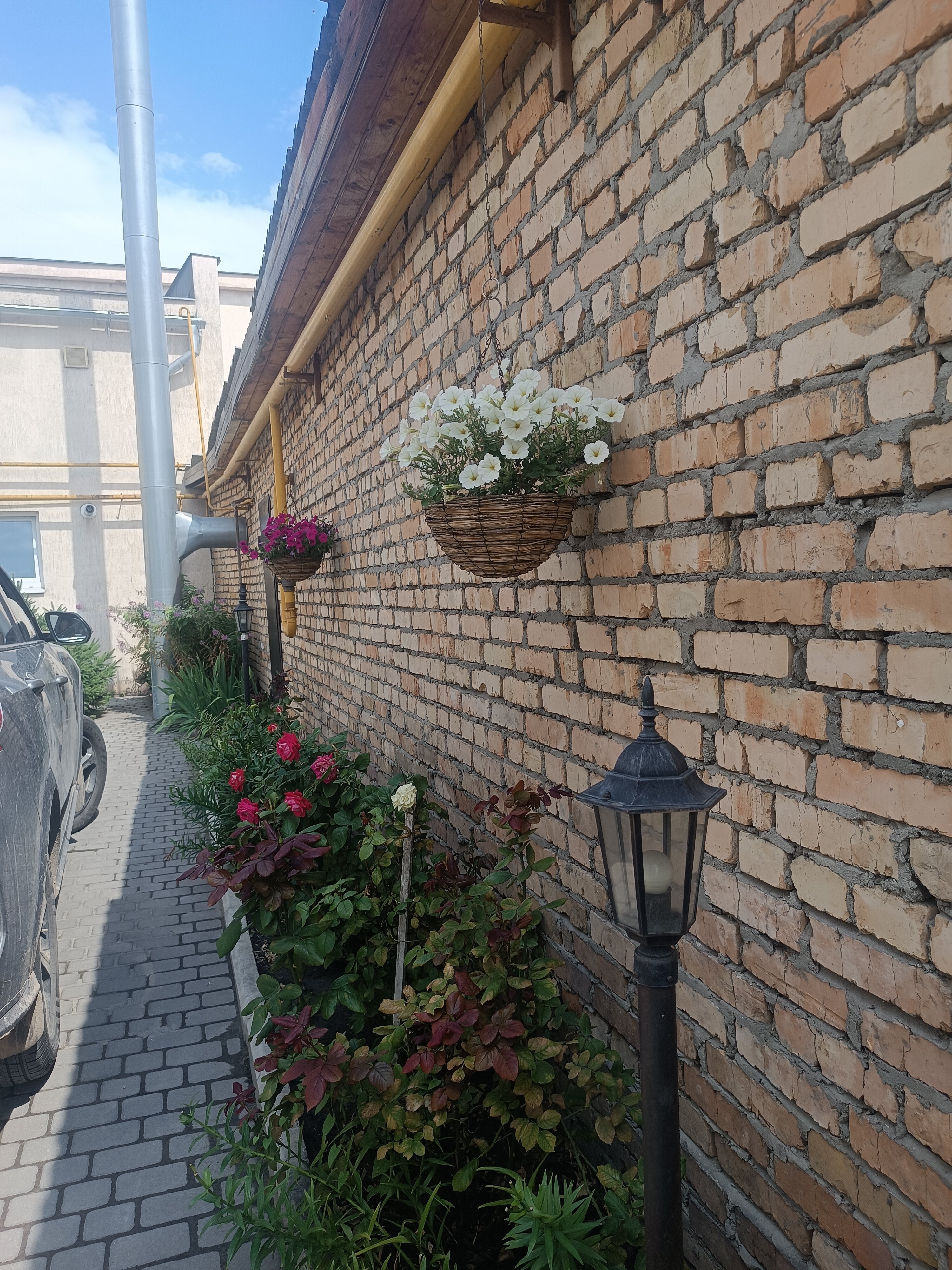 Фото Марьяна