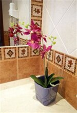 Фото Beatriz Charming Hostal