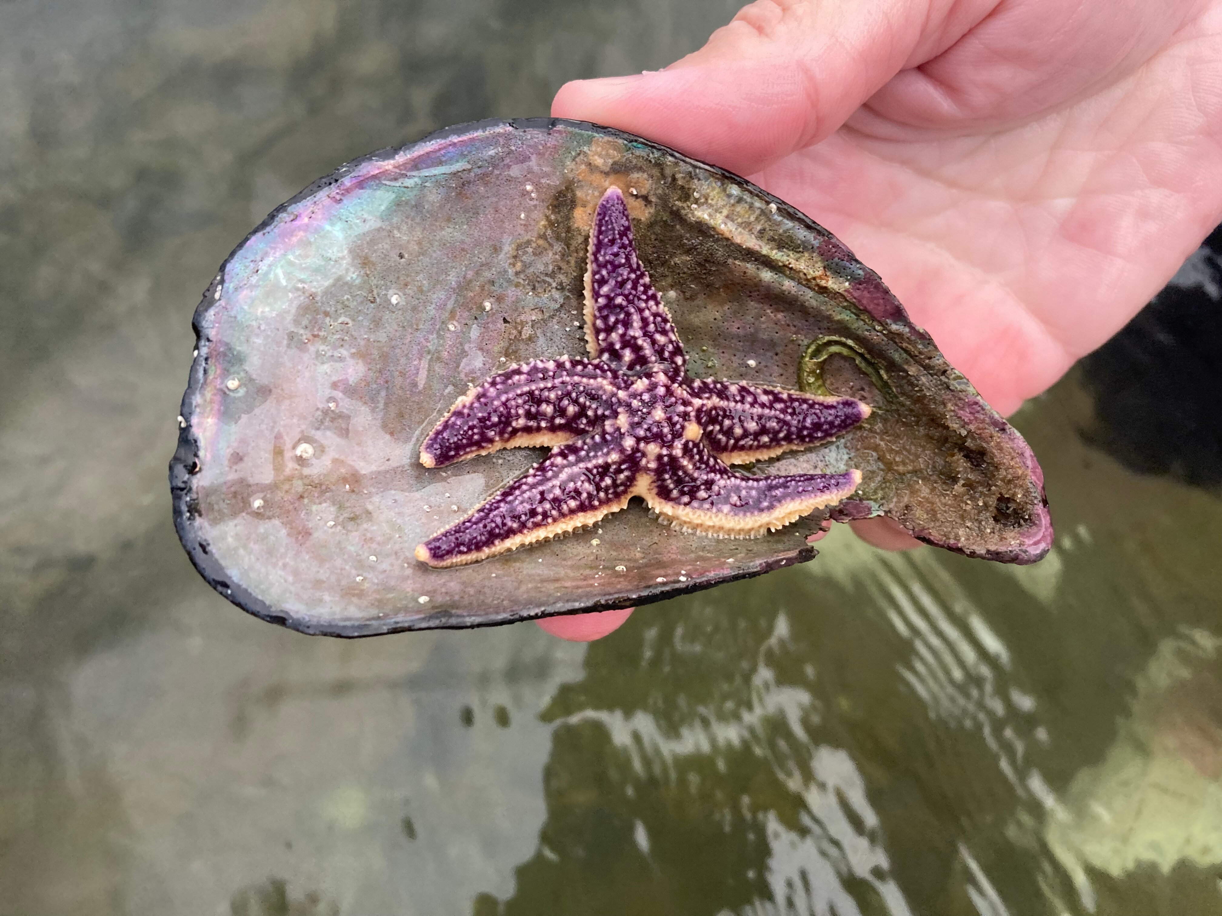 Фото ЭкоДом