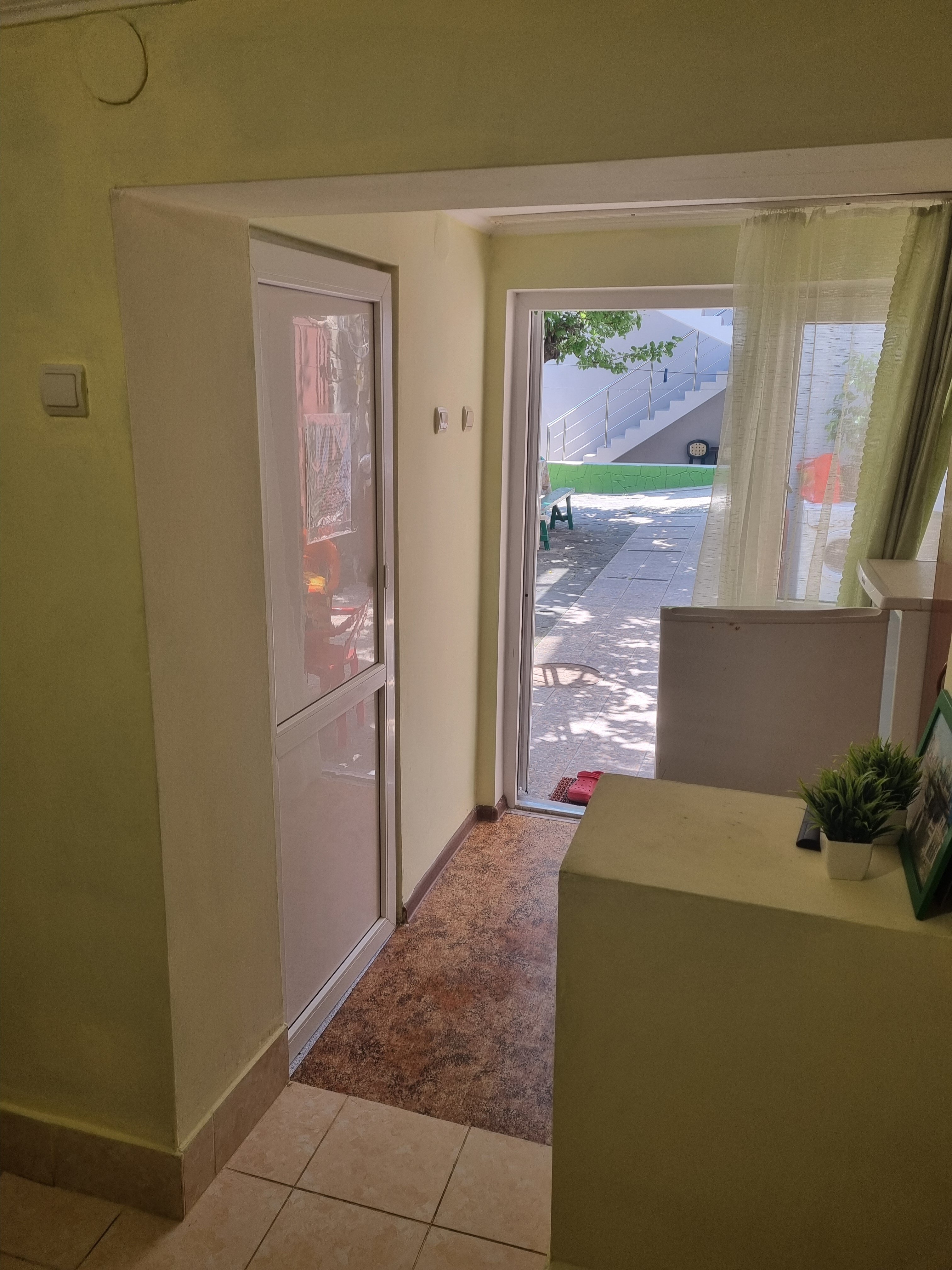 Фото Абрикос