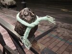 Совенок (Komsomolsky Avenue, 10), genre sculpture