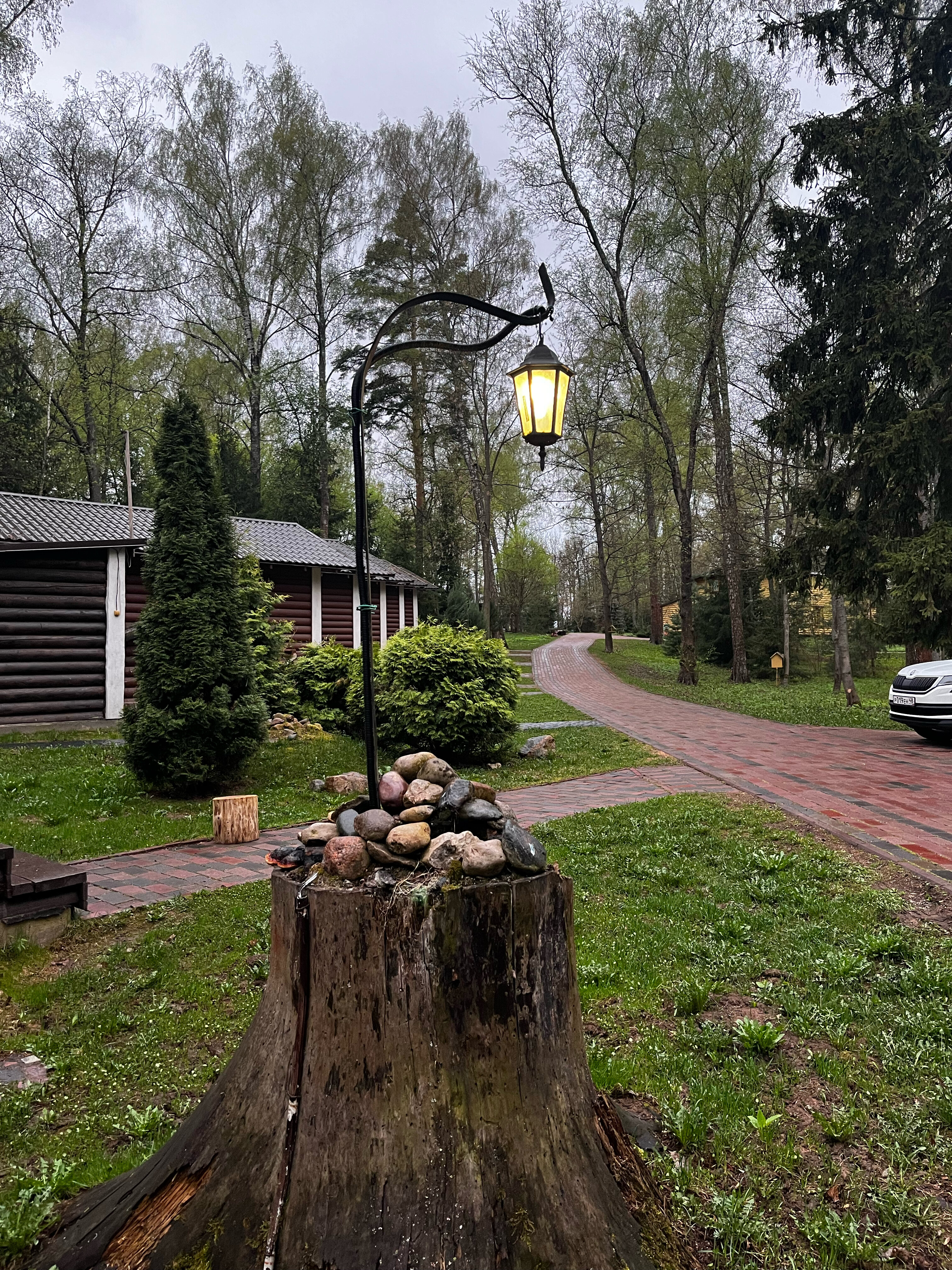 Фото Берёзовая роща