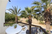 Фото Follow The Sun