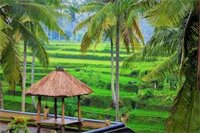 Фото Junjungan Suite Villa