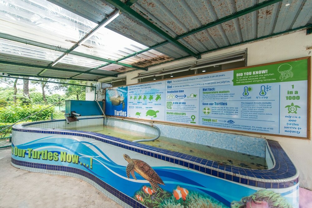 Фото Glory Beach Resort